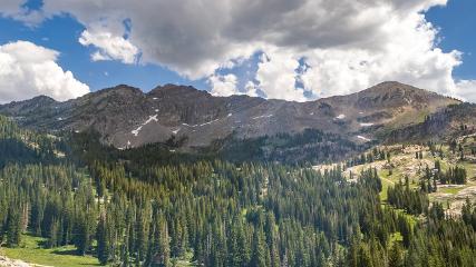 Alta: Alta (alta.com)