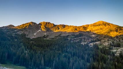 Alta: Alta (alta.com)