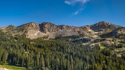 Alta: Alta (alta.com)
