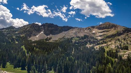 Alta webcam