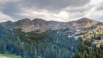 Alta: Alta (alta.com)