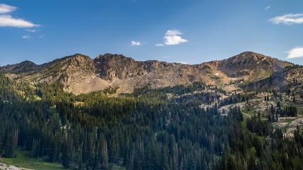 Alta: Alta (alta.com)