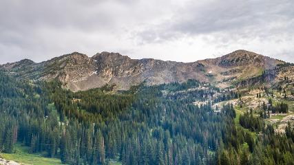 Alta: Alta (alta.com)
