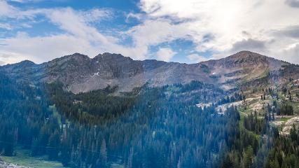 Alta: Alta (alta.com)