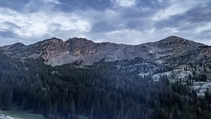 Alta: Alta (alta.com)