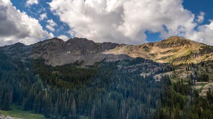 Alta: Alta (alta.com)