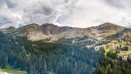 Alta: Alta (alta.com)