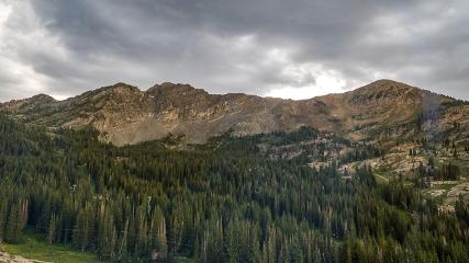 Alta: Alta (alta.com)