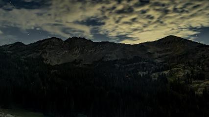 Alta: Alta (alta.com)