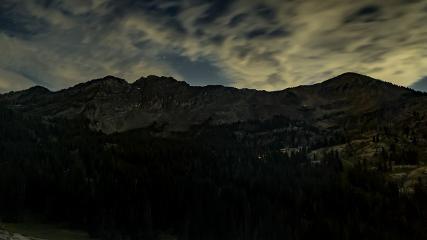 Alta: Alta (alta.com)
