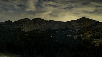 Alta: Alta (alta.com)