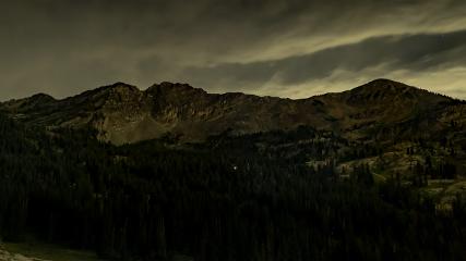 Alta: Alta (alta.com)