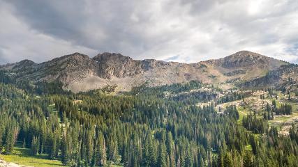 Alta: Alta (alta.com)
