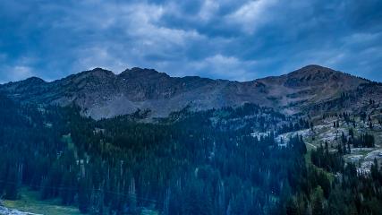 Alta: Alta (alta.com)