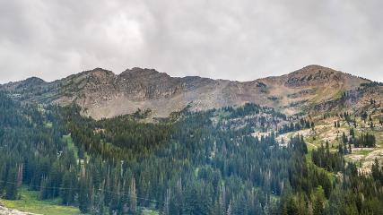 Alta: Alta (alta.com)