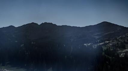 Alta: Alta (alta.com)