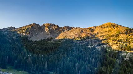Alta: Alta (alta.com)