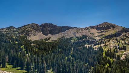 Alta webcam