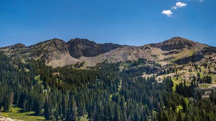 Alta: Alta (alta.com)