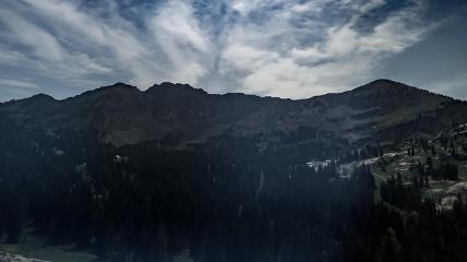 Alta: Alta (alta.com)