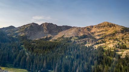 Alta: Alta (alta.com)