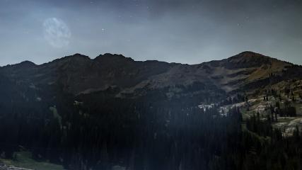 Alta: Alta (alta.com)