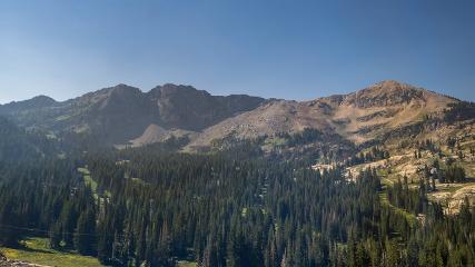 Alta: Alta (alta.com)