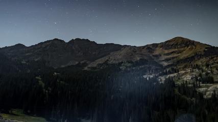 Alta: Alta (alta.com)