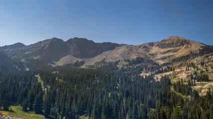 Alta: Alta (alta.com)