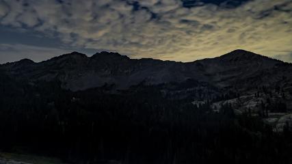 Alta: Alta (alta.com)