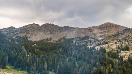 Alta: Alta (alta.com)