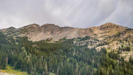 Alta: Alta (alta.com)