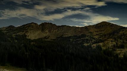 Alta: Alta (alta.com)