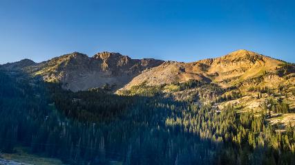 Alta: Alta (alta.com)