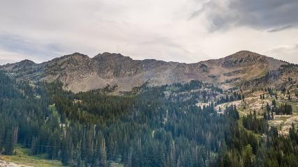 Alta: Alta (alta.com)