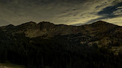 Alta: Alta (alta.com)