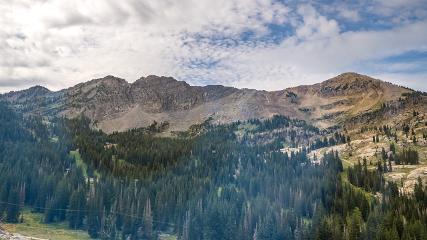 Alta: Alta (alta.com)