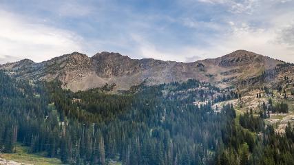 Alta: Alta (alta.com)