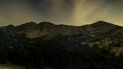 Alta: Alta (alta.com)