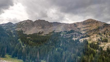 Alta: Alta (alta.com)