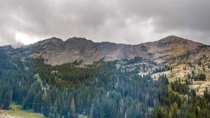 Alta: Alta (alta.com)