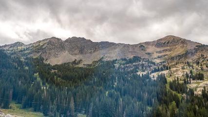 Alta: Alta (alta.com)