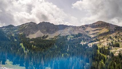 Alta: Alta (alta.com)