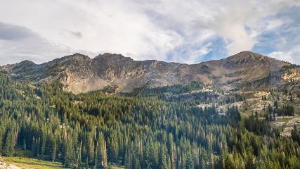 Alta: Alta (alta.com)