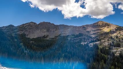 Alta: Alta (alta.com)