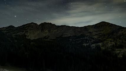 Alta: Alta (alta.com)