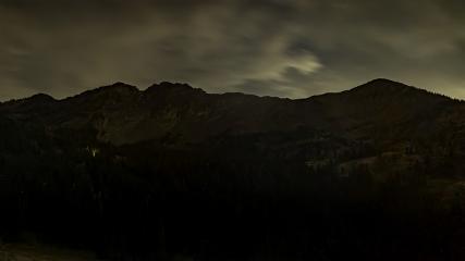 Alta: Alta (alta.com)