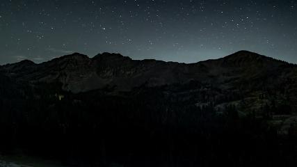 Alta: Alta (alta.com)