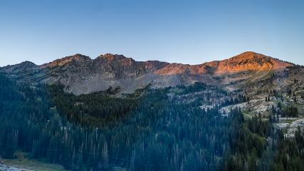 Alta: Alta (alta.com)
