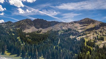 Alta: Alta (alta.com)